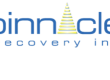 Pinnacle Collection